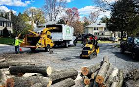 Best Hazardous Tree Removal  in USA